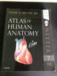 Netter atlas mianownictwo angielskie