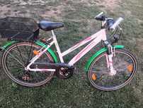 Rower trekkingowy Pegasus Avanti
