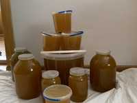 Продам мед і пилок, з власної пасіки