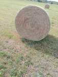 siano w balach 120x120