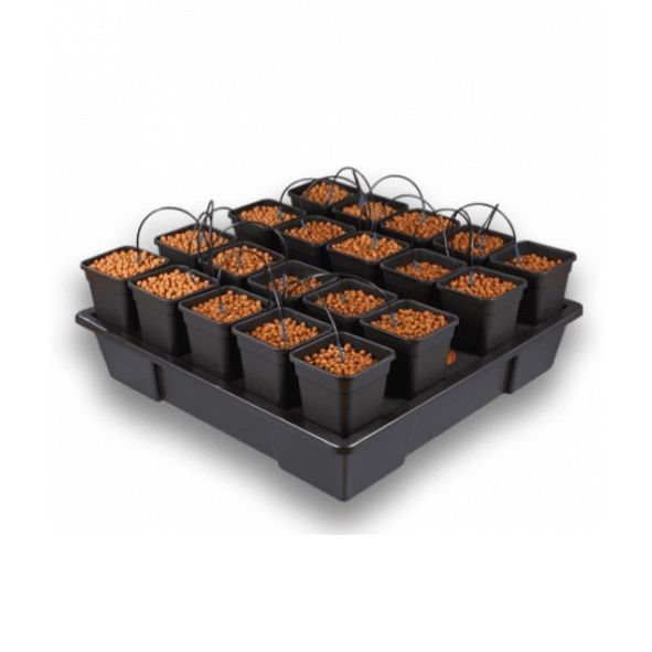 Kit de cultivo indoor completo