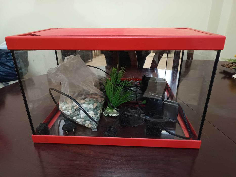 Aquário para peixes