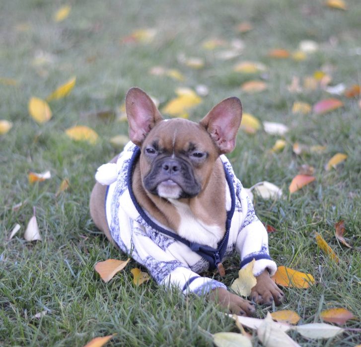 Яскраво червоний хлопчик