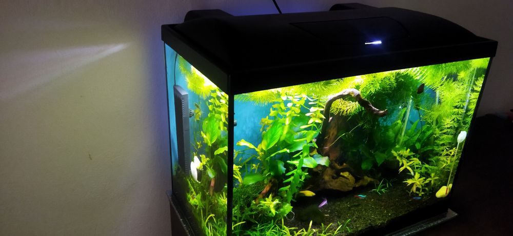 Акваріум "Природа", 52 л.