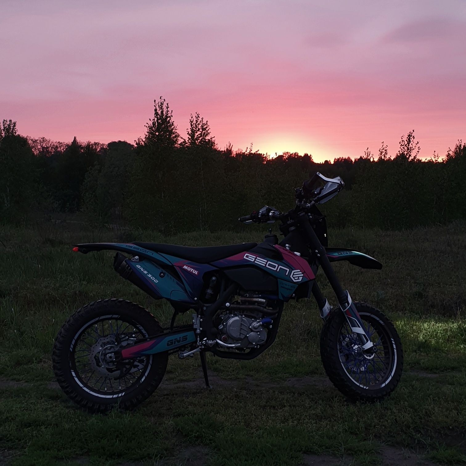 geon gns 300 косоголовий