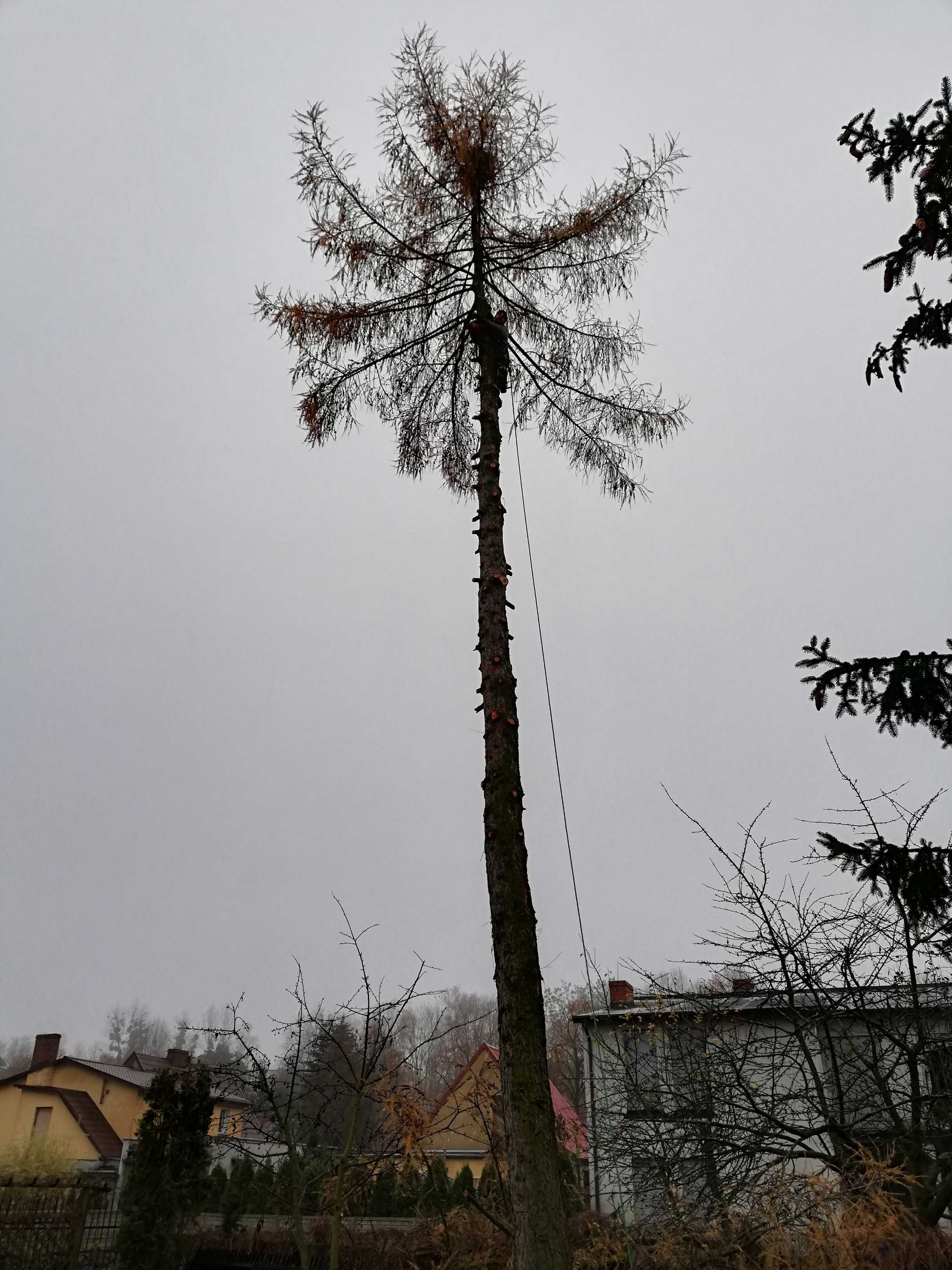 Profesjonalna Wycinka drzew,rębak do gałęzi,FREZOWANIE PNI,kosz