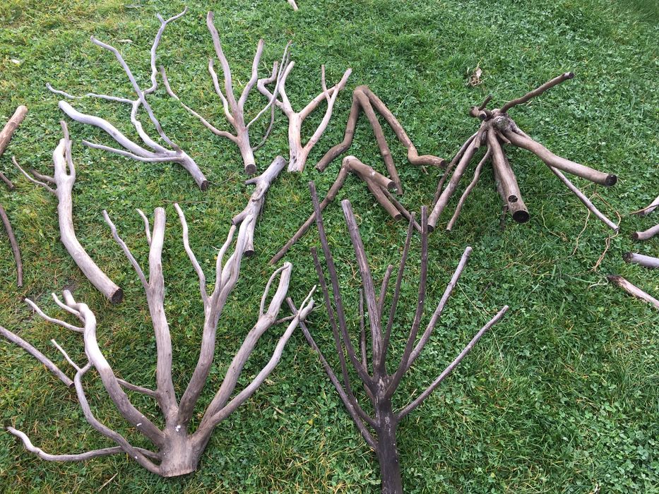 Гілки чищені ,дуб,вишня,верба,слива,алича,яблуня.