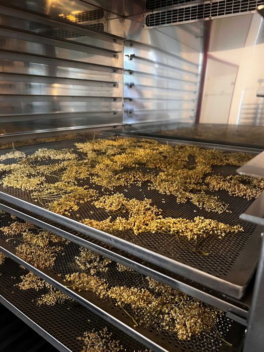 Suszarnia komorowa konwekcyjna tacowa CONVECO