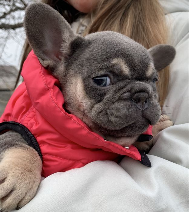 Новотипна дівчинка