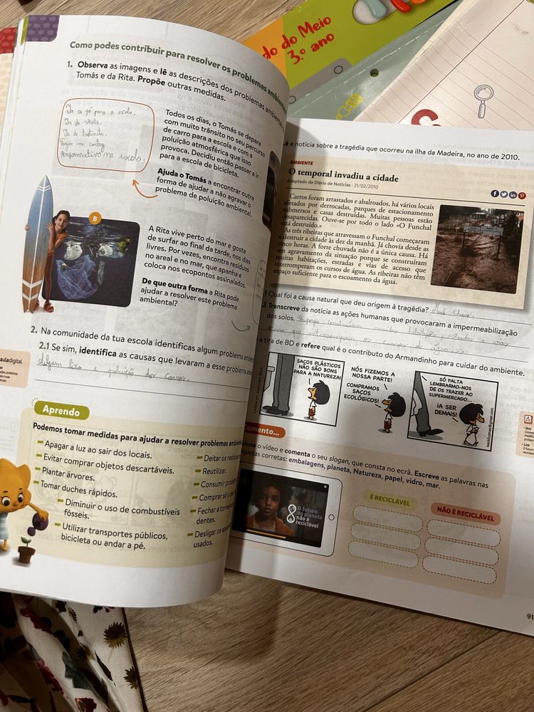 Manual e livro de fichas Estudo do Meio - 3 ano - PLIM
