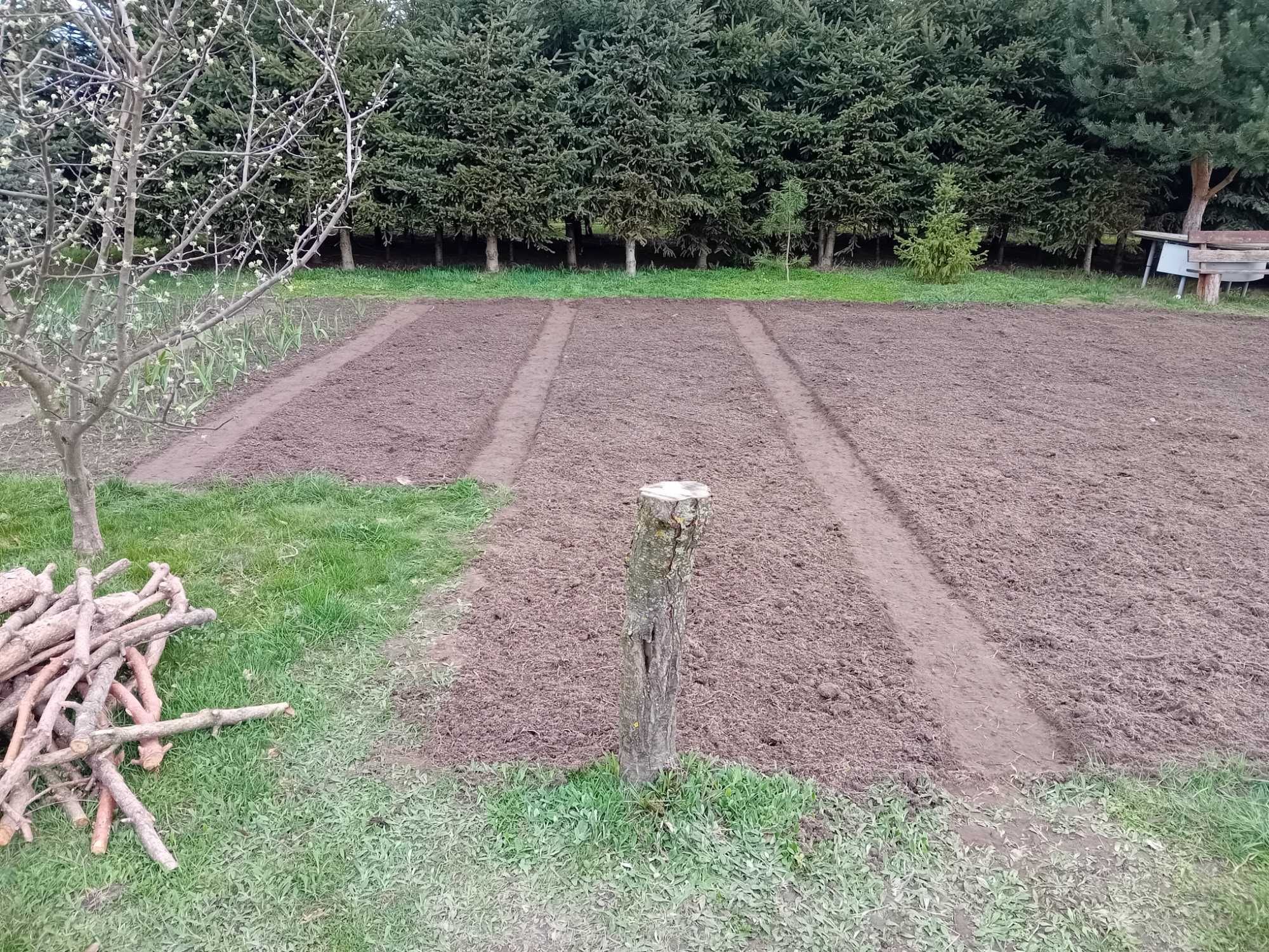 Usługi Ogrodnicze Glebogryzarka Wertykulacja Trawników