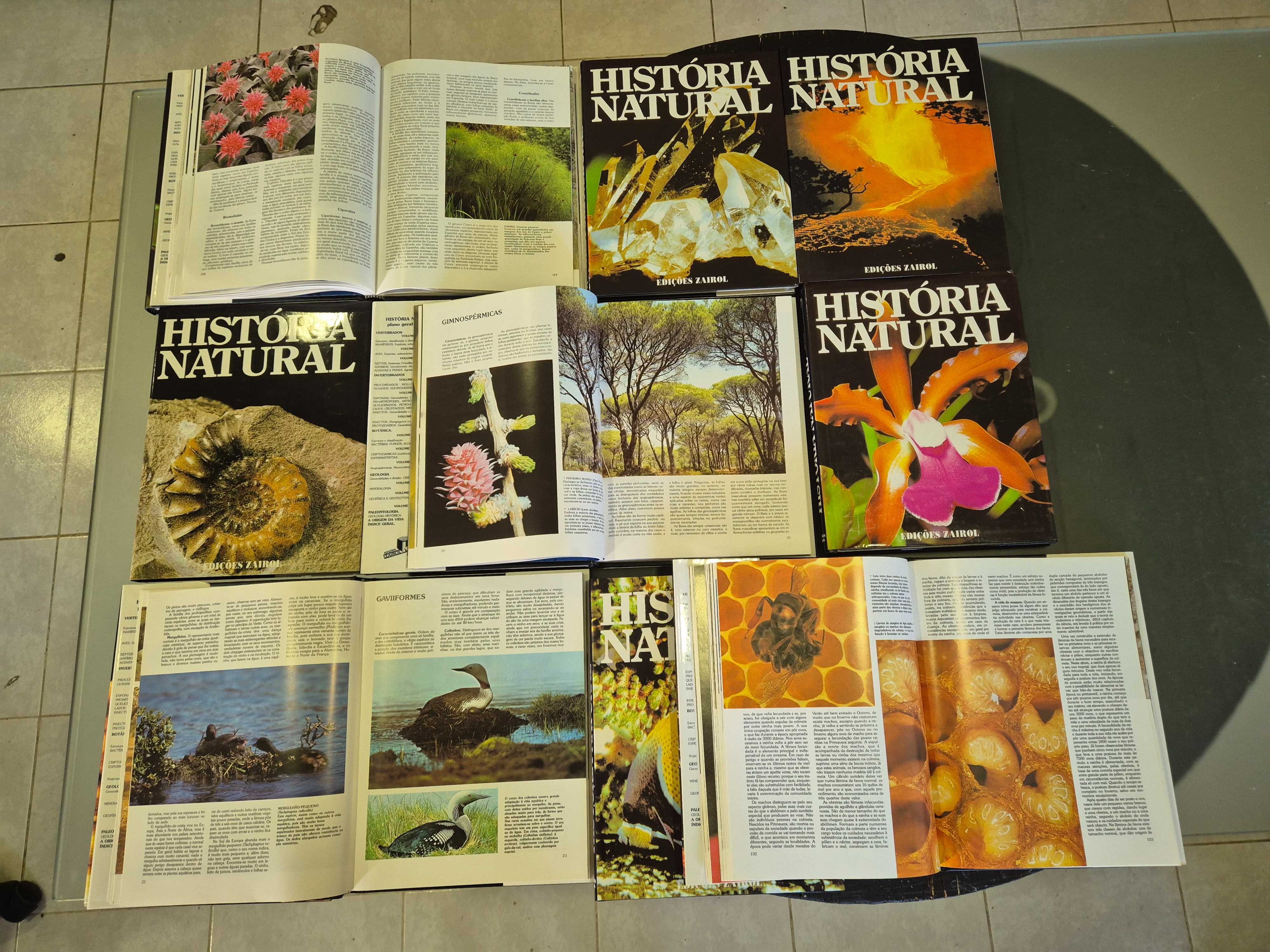 História Natural - 12 volumes
