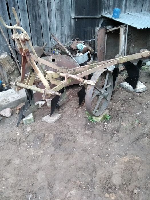 Плуг п'яти корпусний польський