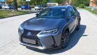 Lexus UX 250 H, 184 KM, serwis ASO, Full Opcja, 4x4, 1 właściciel, st. IDEALNY