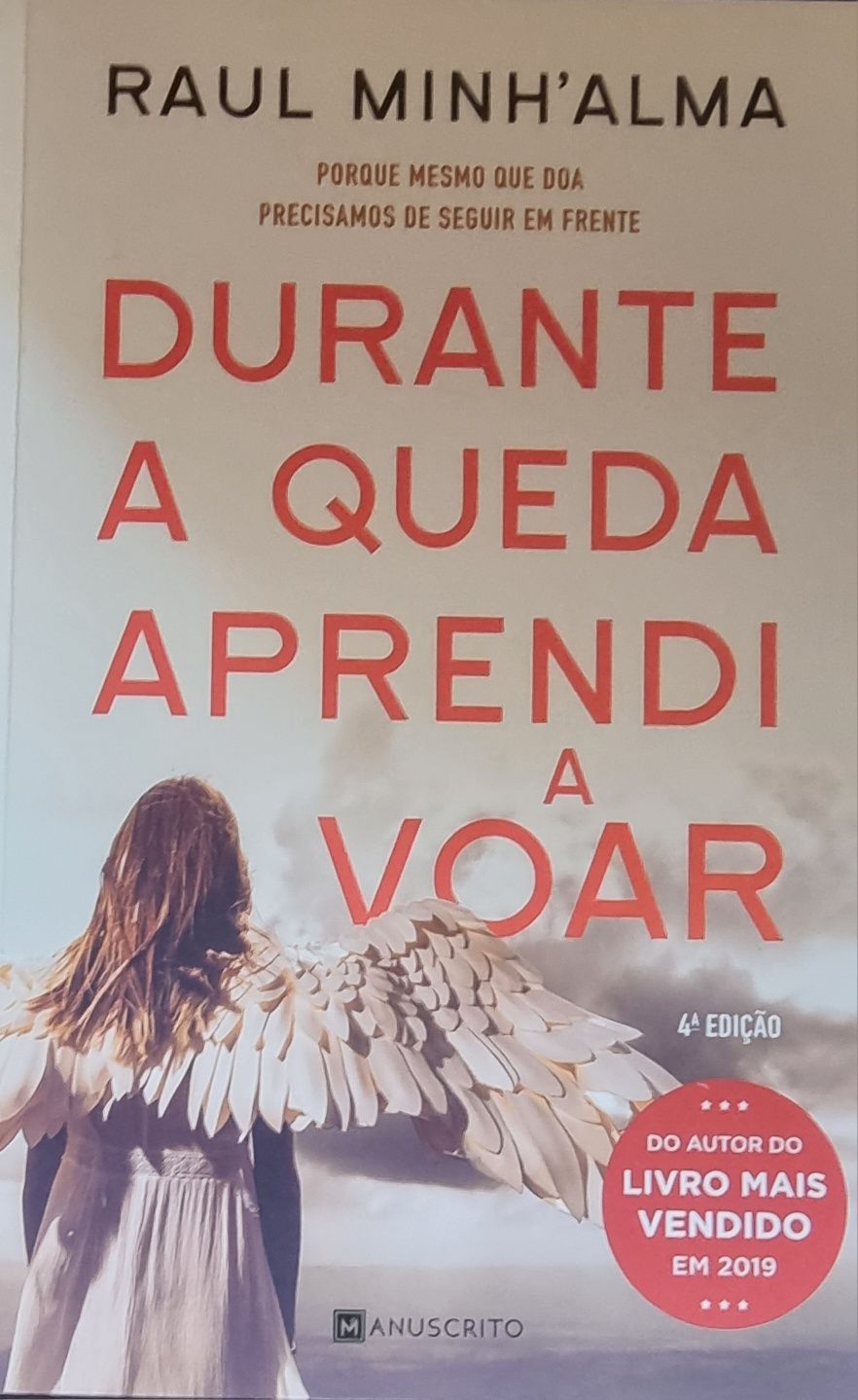 Livro "Durante a queda aprendi a voar"