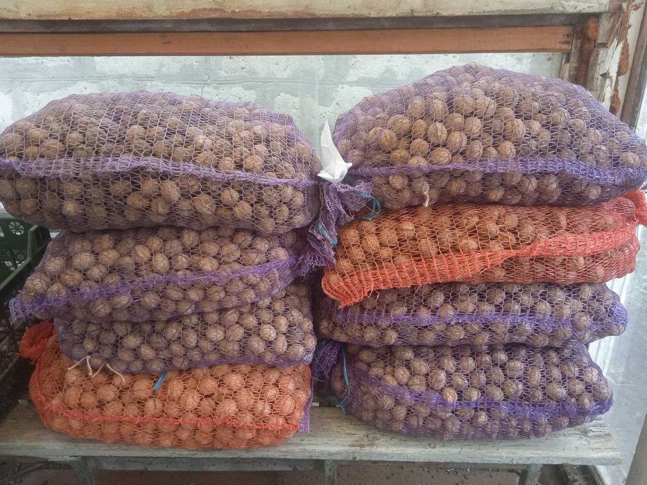 Волоські горіхи, не чищені