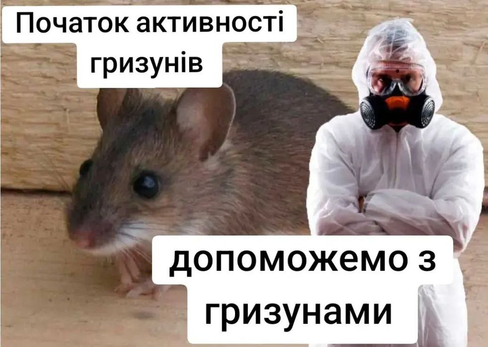 Знищення щурів,мешей,професійно!