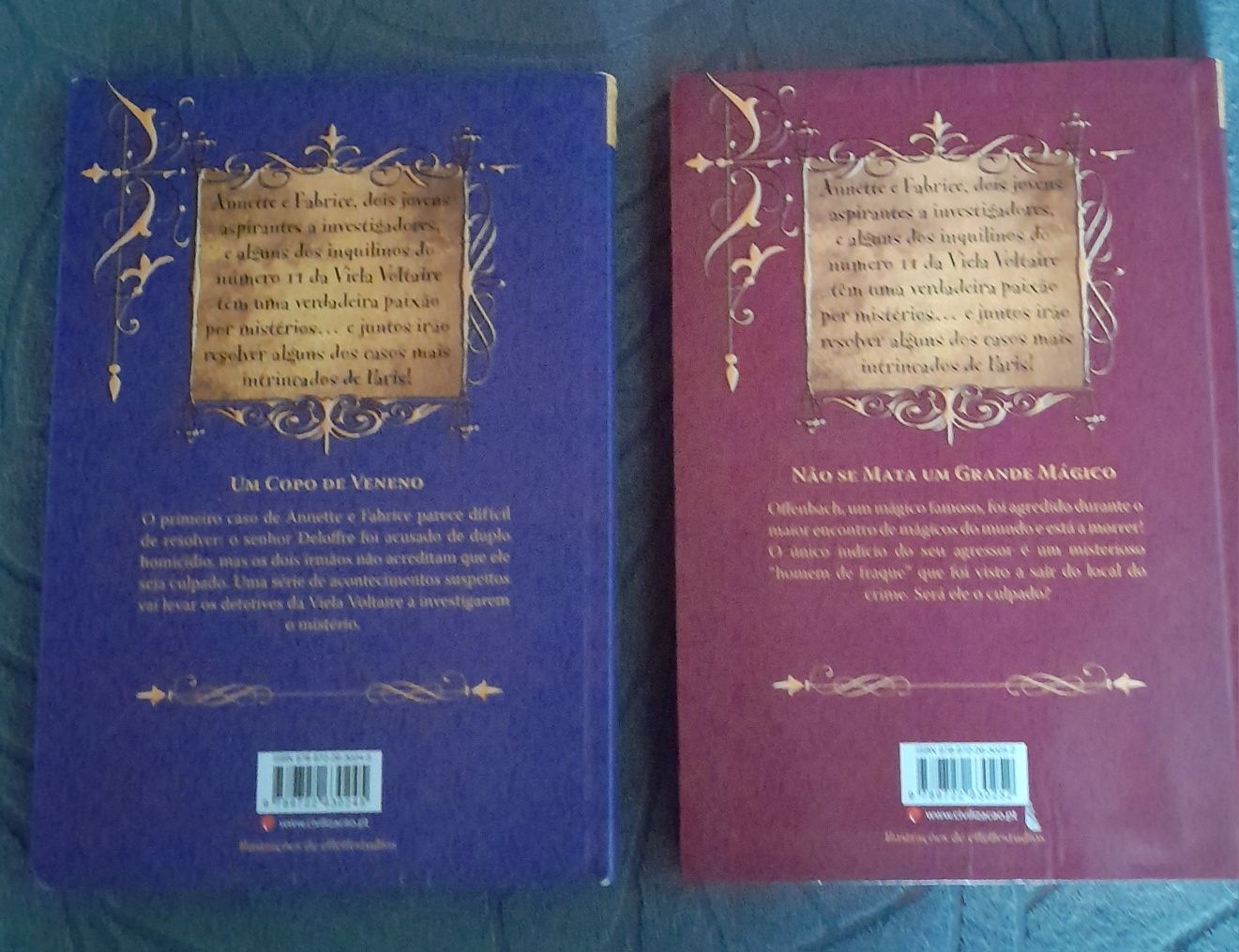 Os Detetives da Viela Voltaire