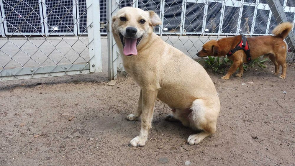 Rozbrykany Tymianek potrzebuje stabilnego domku na już