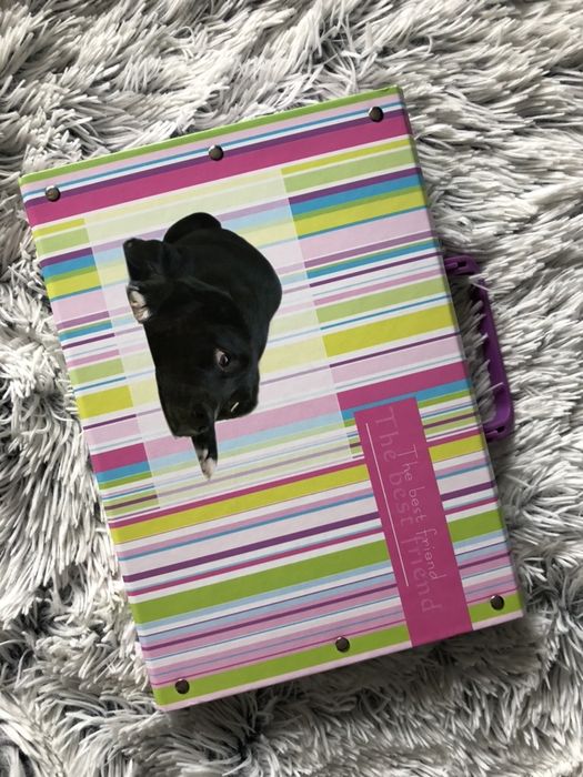 Teczka z uchwytem pies