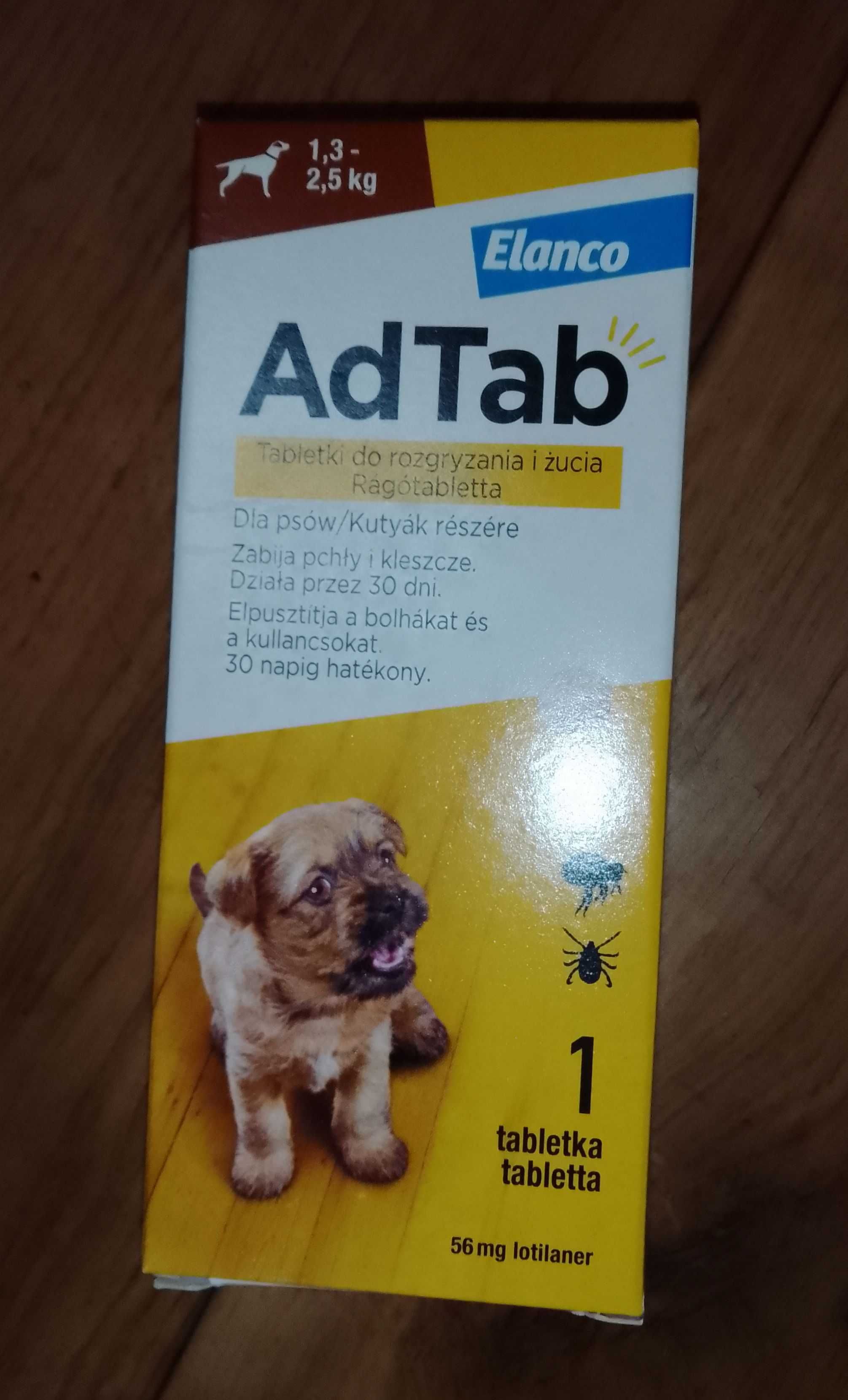 Nowy zestaw dla psa