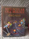 Molecular Cell Biology