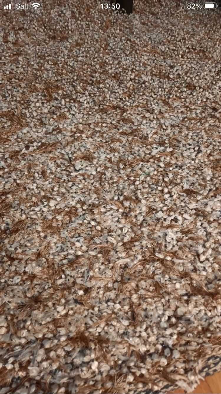 Carpetes 2.00x2.90