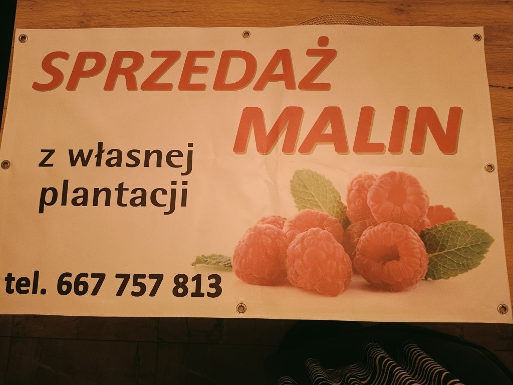 Malina Ekologiczna