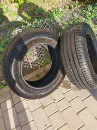 Літня шина Michelin 195/65 R15