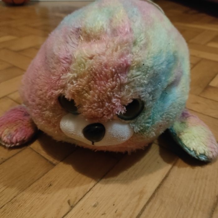 Pluszak Foka Kolorowa