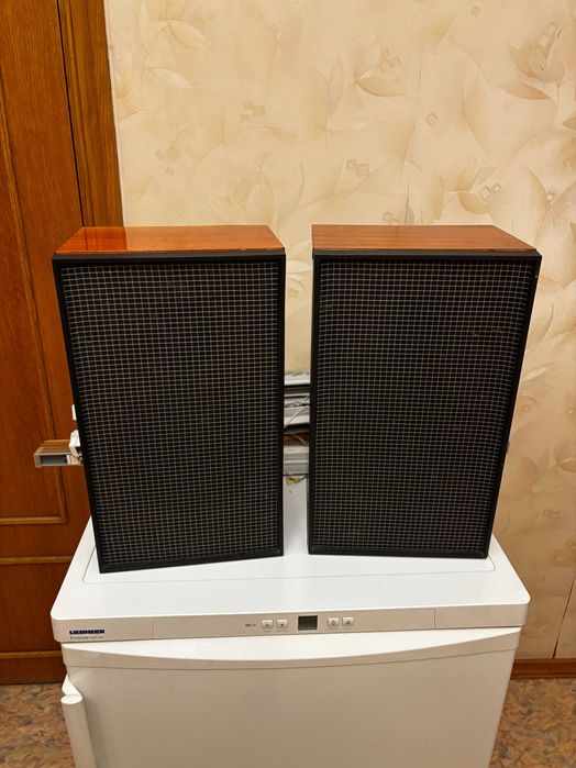 Система акустическая 15АС-4 «Вега»