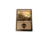 Karta Magic: The Gathering Swamp #269/280