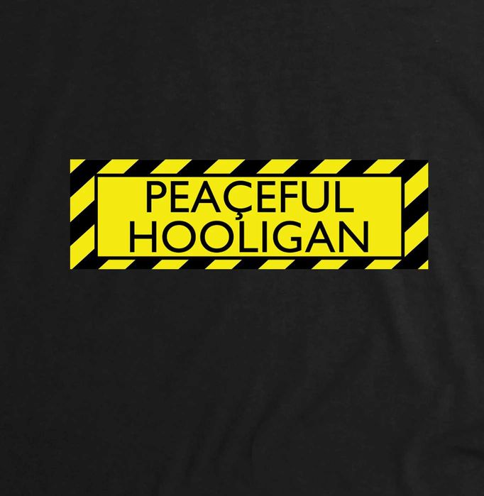 Футболка Peaceful hooligan (Weekend Offender , Stone island)
