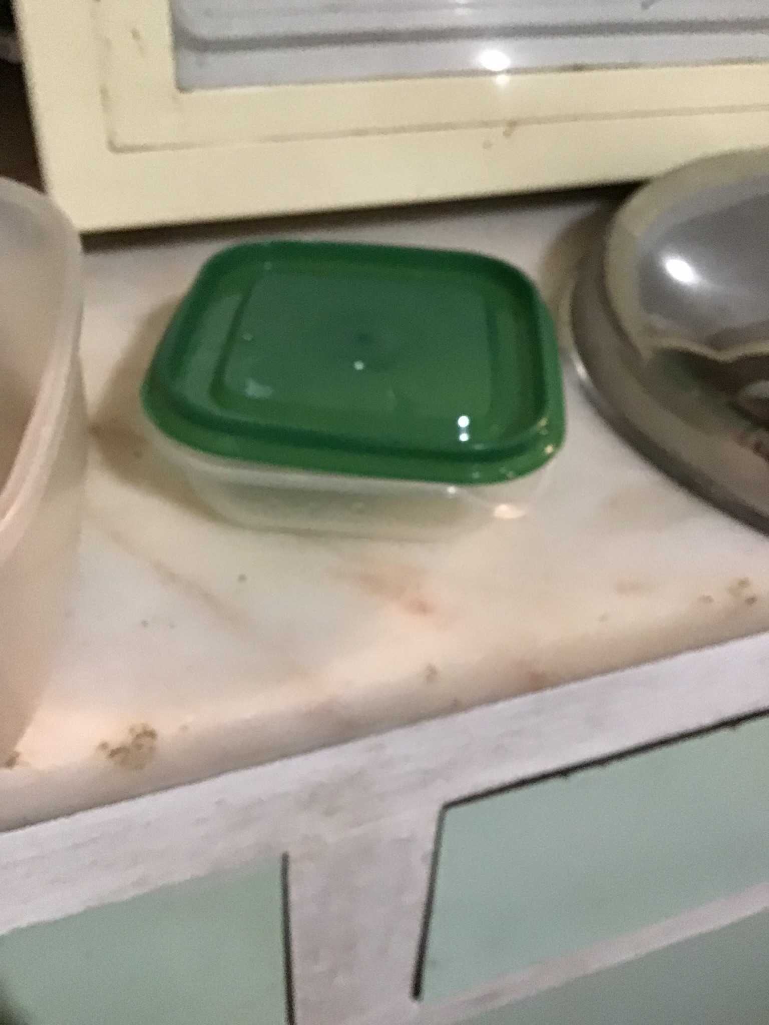 tuperware de plastico com tampa verde