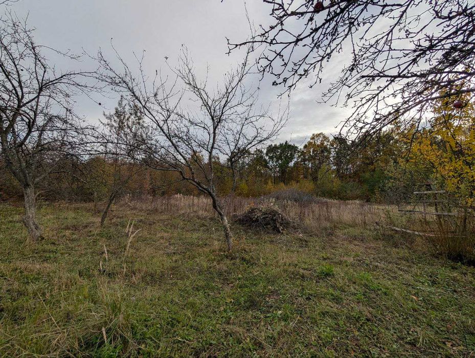 продаж ділянки під будівництво с.Посіч біля лісу