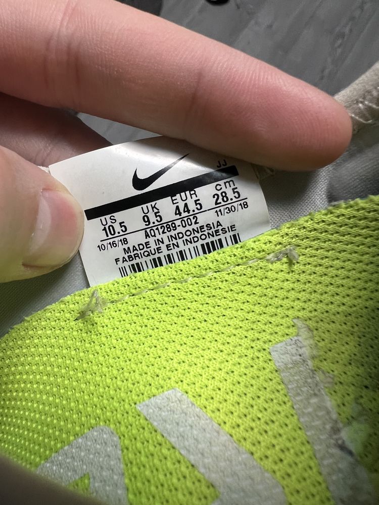 Кросівки чоловічі Nike Free Run 5.0 Platinum Tint 44.5р