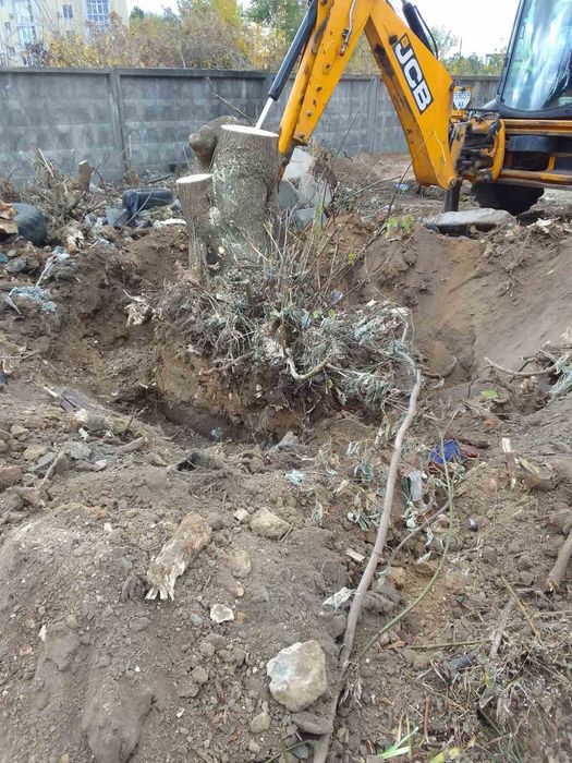 Видалення аварійних дерев Благоустрій Демонтаж.Є послуги ЩЕПОРІЗА