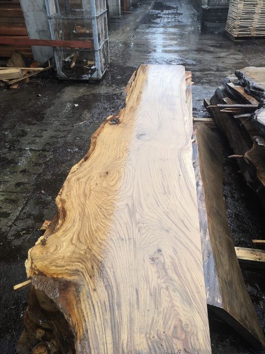 Monolity dąb 3 m długie i 1 m szerokie, grubość 10 cm,