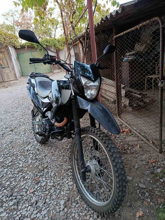 Продам shunarei 6c