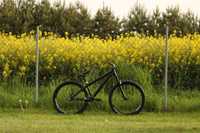 NS bikes decade V2 black (wymina)