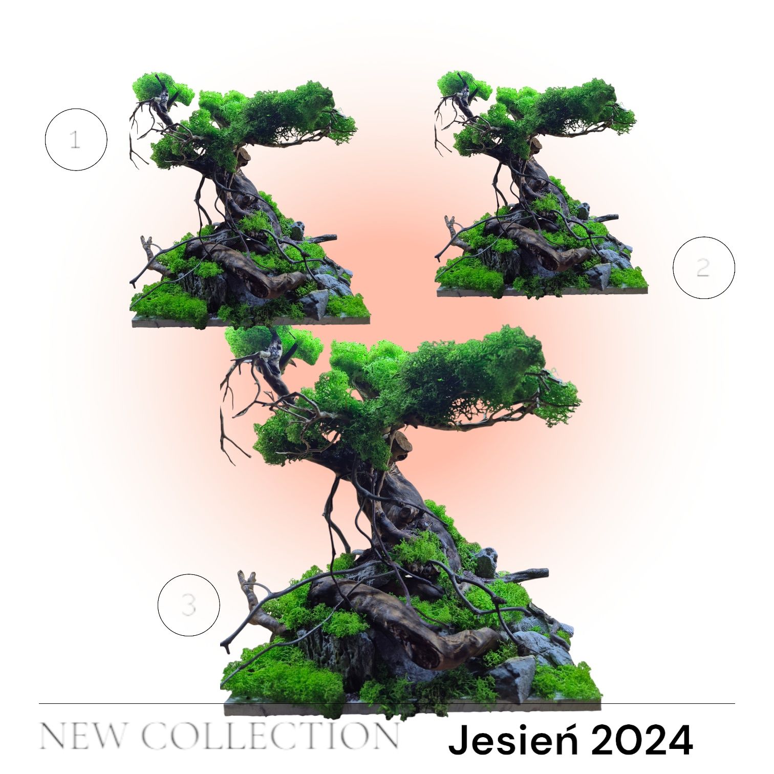 Drzewko bonsai do akwarium
