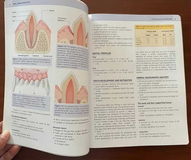 "Small Animal Dentistry" de Cecilia Gorrel