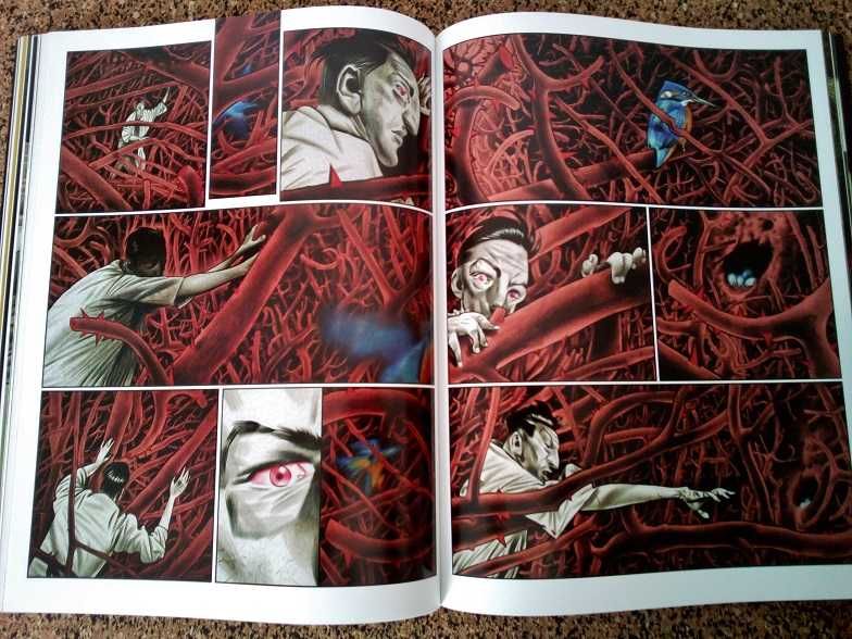 BD - Black Dog: The Dreams of Paul Nash (Dave McKean)