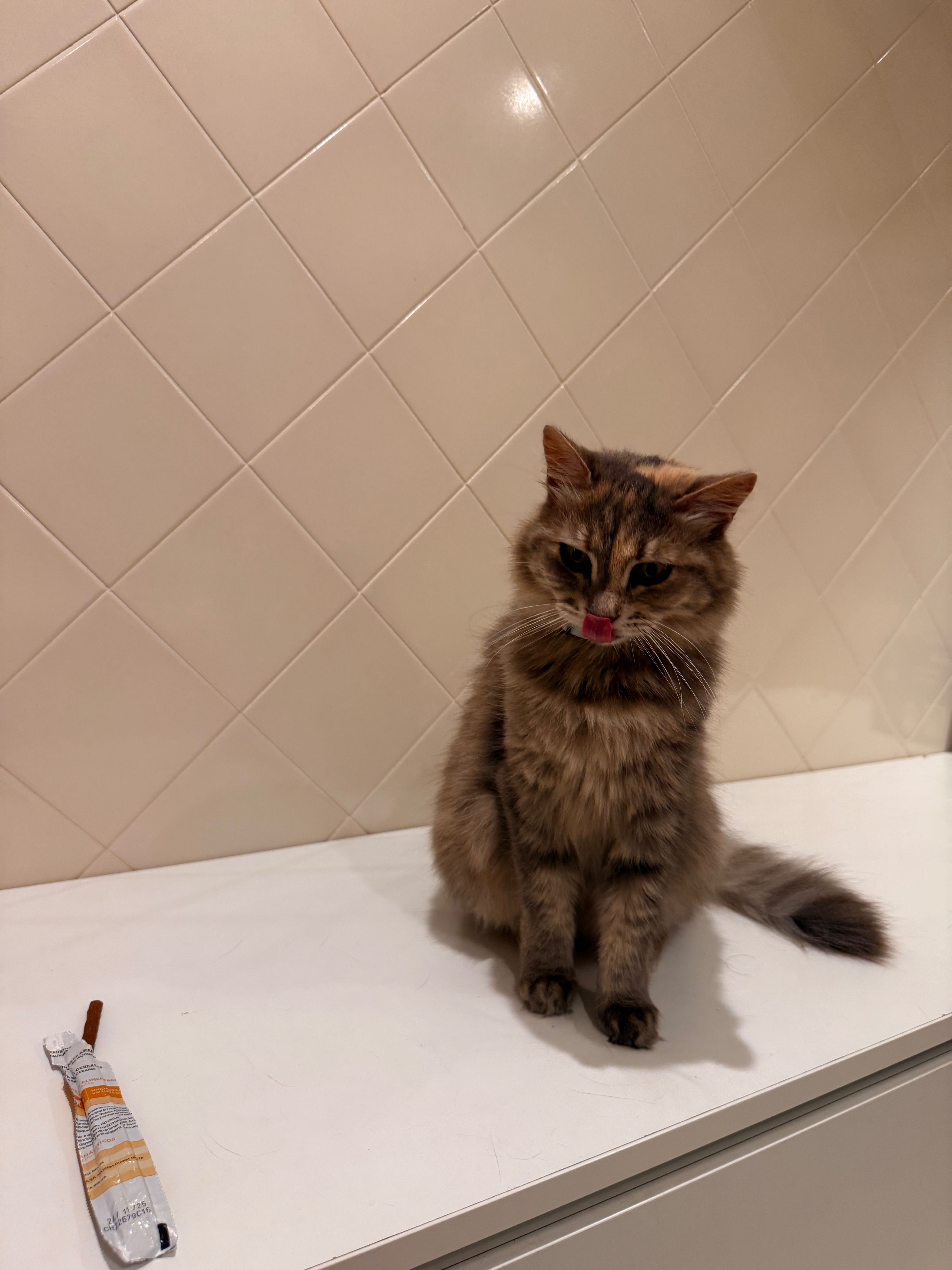 Cuido dos seus animais de estimação