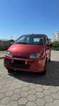 JDM Albizia