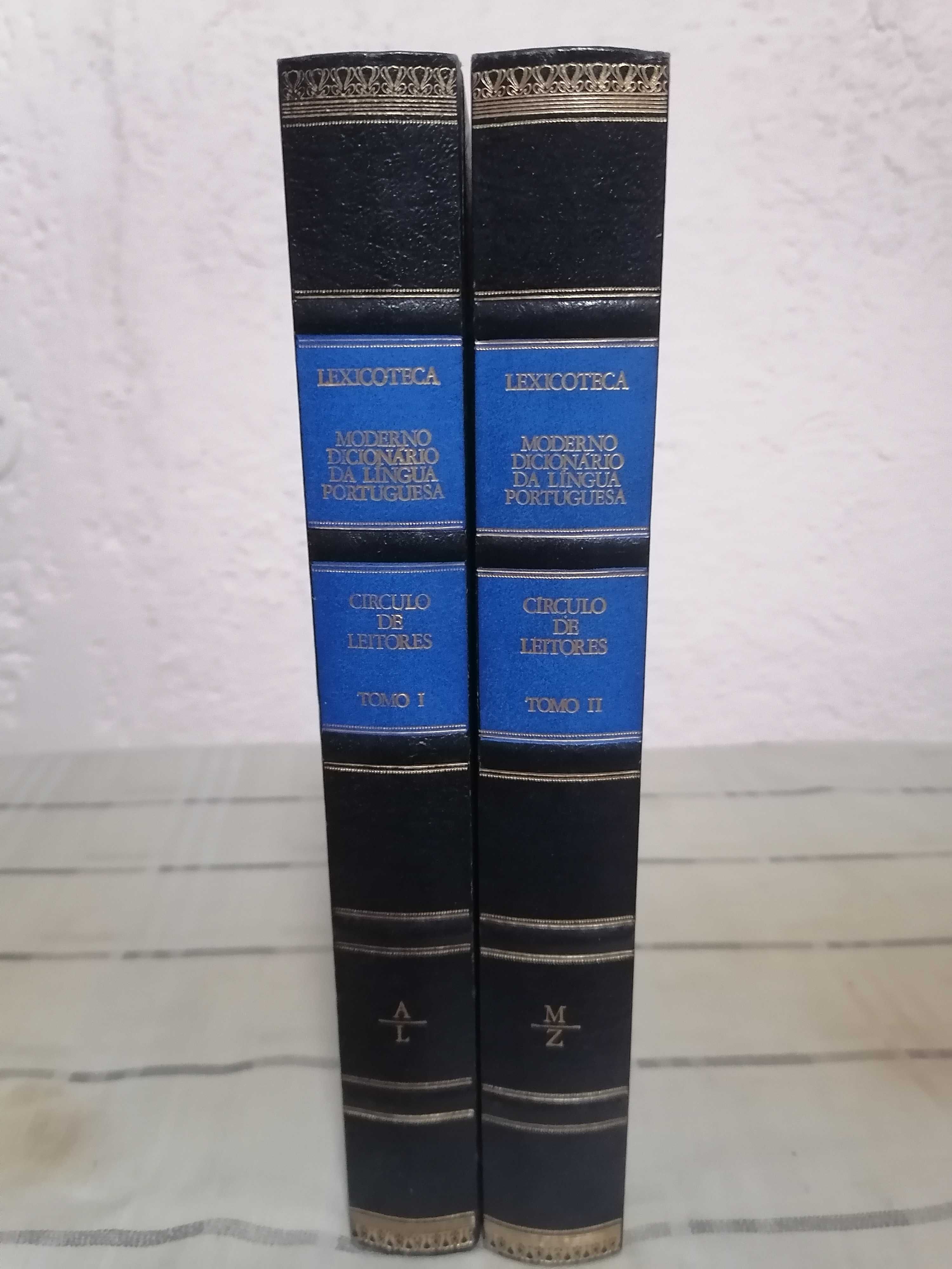 Moderno Dicionário da Língua Portuguesa - 2 Volumes