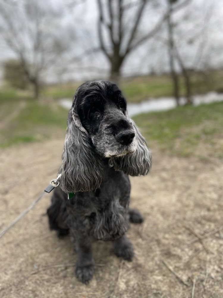 Jednorożec COBI Figurka Little Live Pets