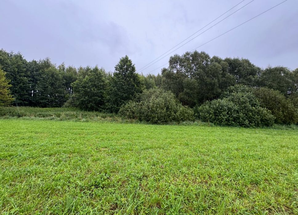 Dwie działki rolne 0.99ha  Kowale Oleckie