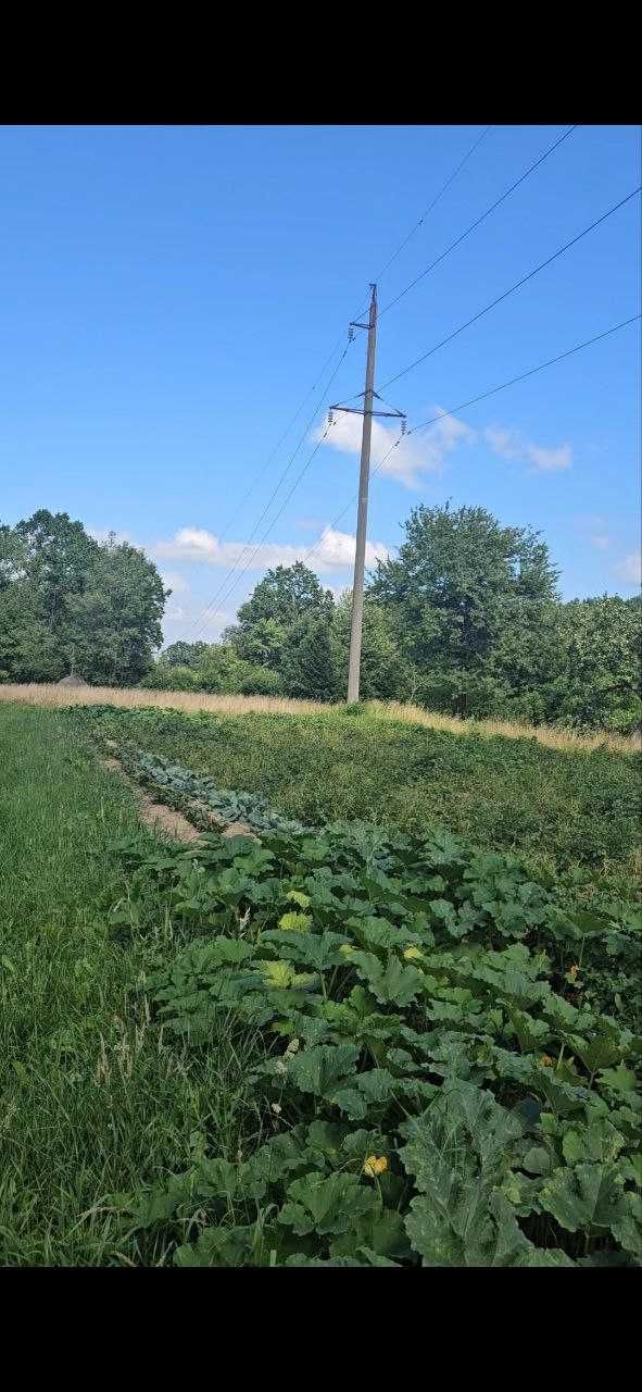 Земельні ділянки 1.87га в с.Стопчатів Косівський район