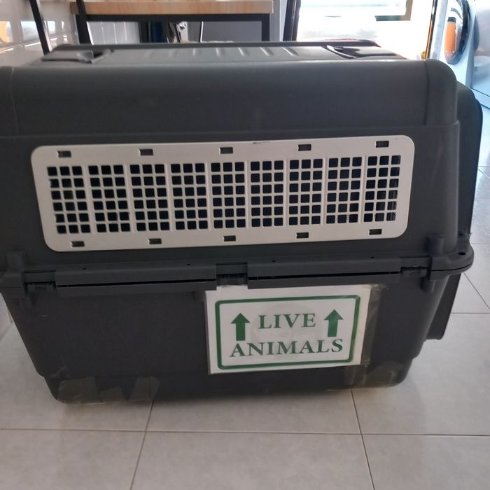 Transportadora tamanho 6